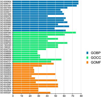 Mathematical algorithm–based identification of the functional components and mechanisms in depression treatment: An example of Danggui-Shaoyao-San